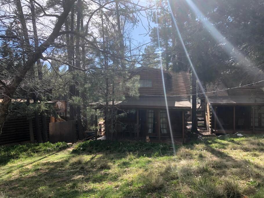 Forest Cabin 4 Cowboys Dream Payson Exterior foto